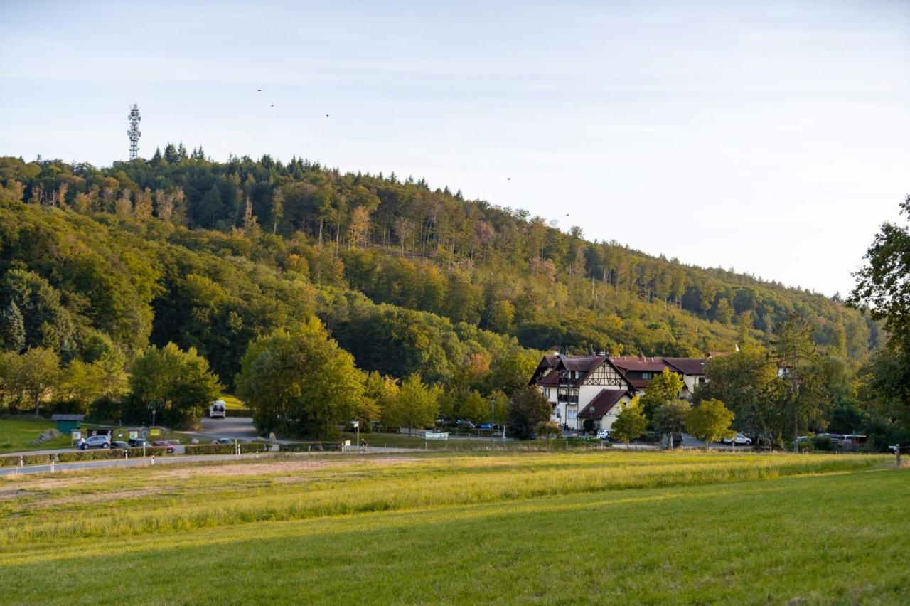 Landhotel Kuralpe Kreuzhof Lautertal (Odenwald) Exterior foto